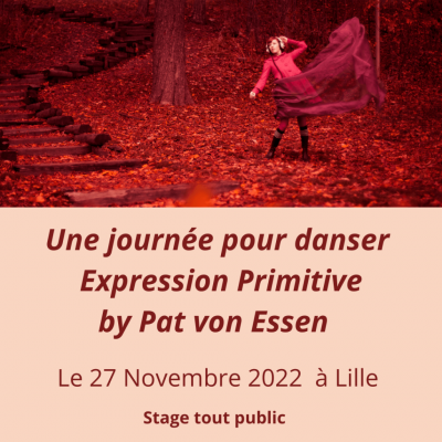 Danse expression primitive rythme thérapie Patricia Von Essen Journée pour danser Lille 27 novembre 2022